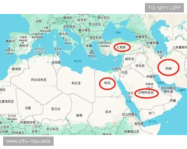 埃及VS伊朗世界杯比赛比分公布,比赛过程中的精彩瞬间与战术分析 埃及VS伊朗世界杯比赛比分公布,比赛过程中的精彩瞬间与战术分析